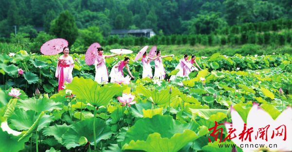 第三届莲花文化节在双洛乡老家湾村开幕。